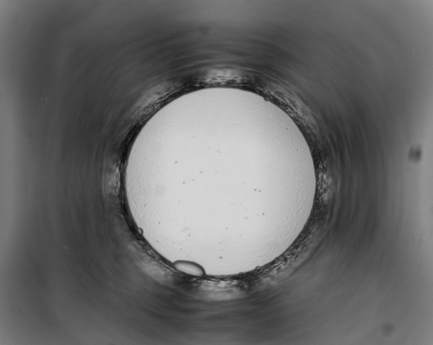 X0000099550375200806061522