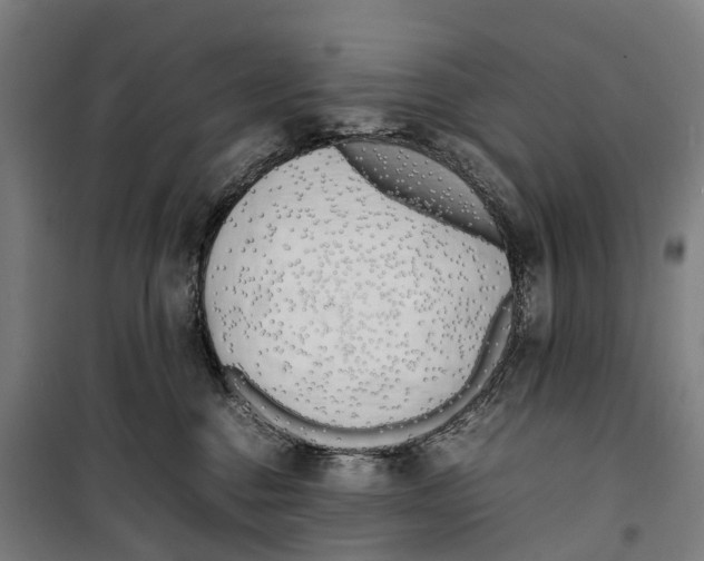 X0000099550376200806061522