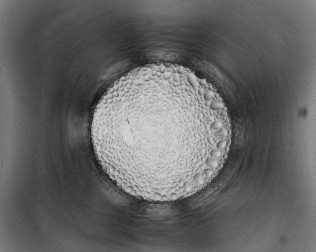 X0000099550377200806061522