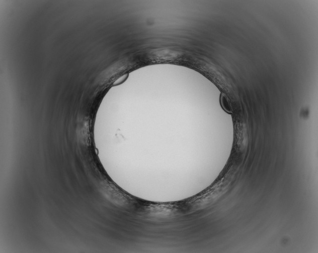 X0000099550378200806061522