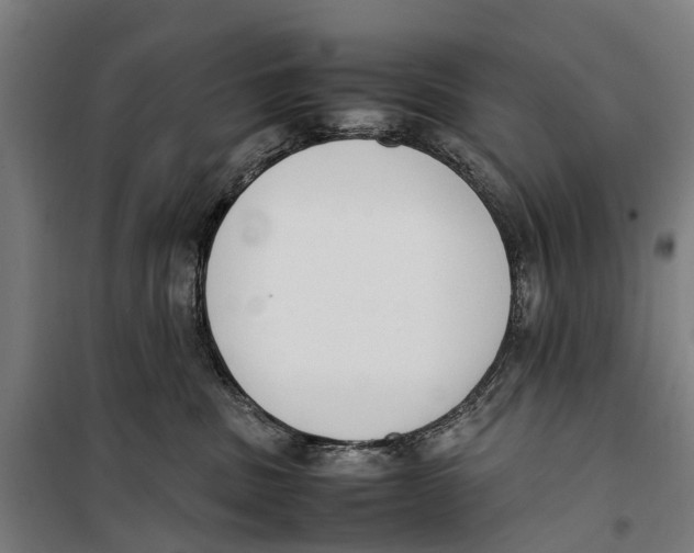 X0000099550379200806061522