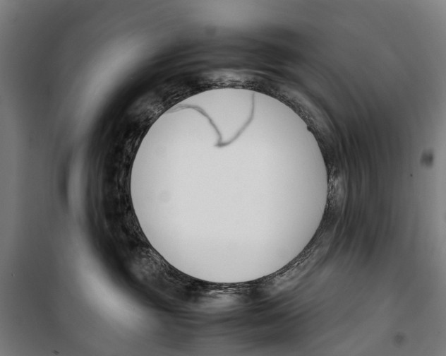 X0000099550381200806061522