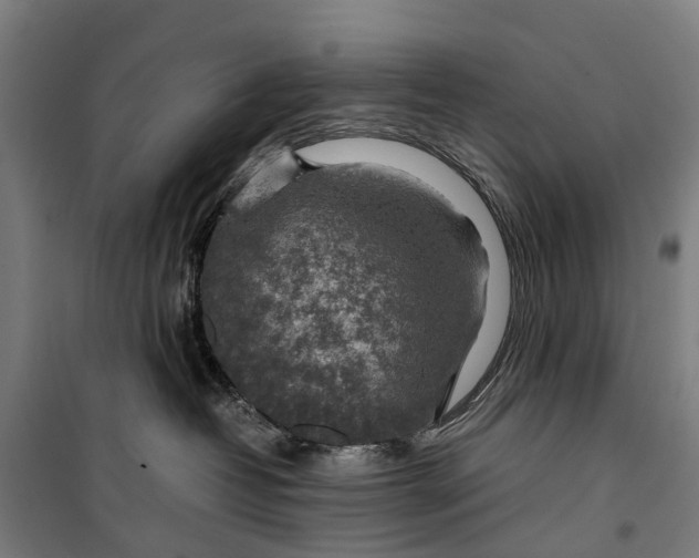 X0000099550382200806061522