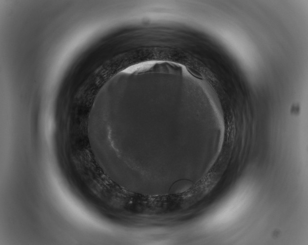 X0000099550383200806061522