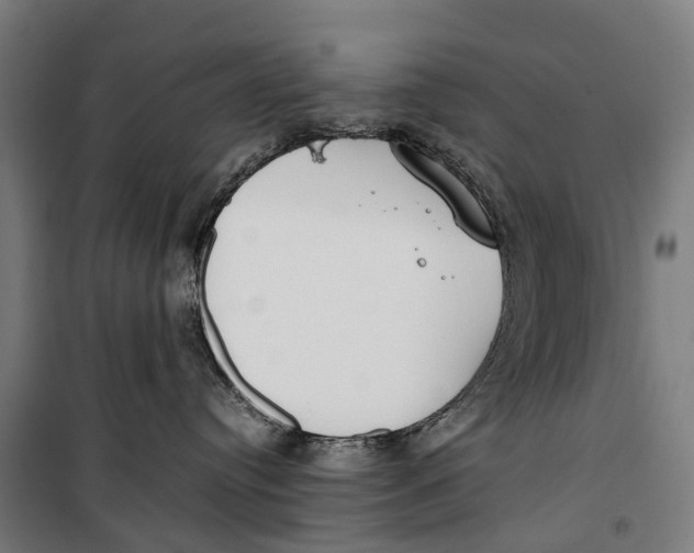 X0000099550384200806061522