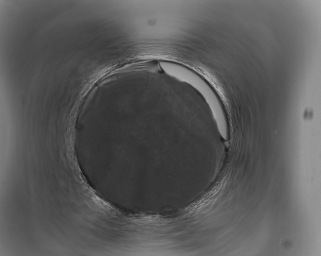 X0000099550385200806061521