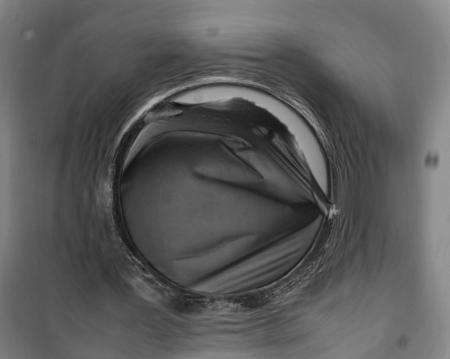 X0000099550387200806061521