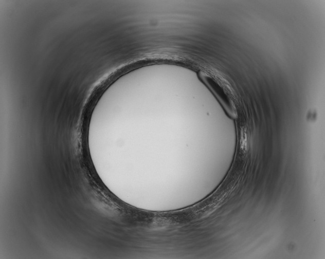 X0000099550388200806061521