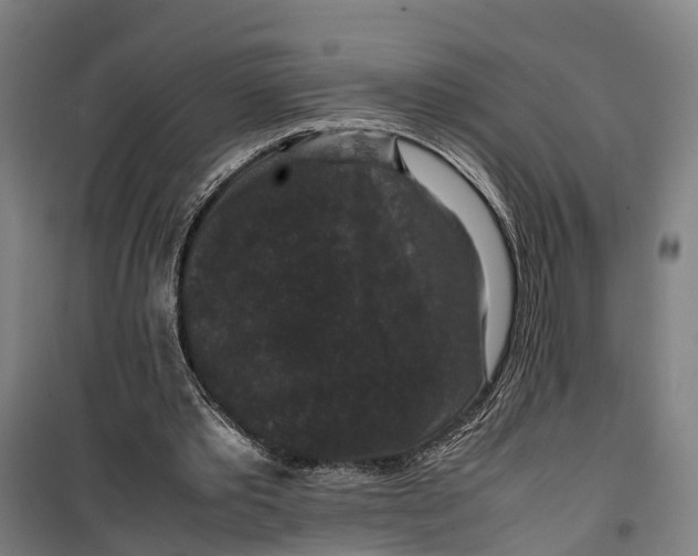 X0000099550389200806061521