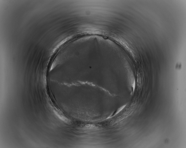 X0000099550390200806061521