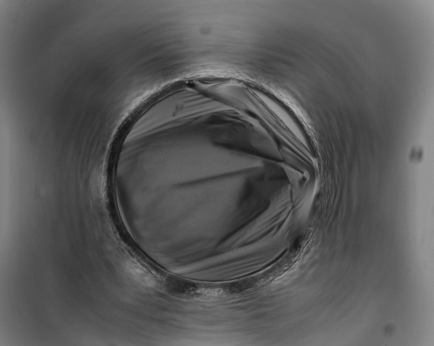 X0000099550391200806061521