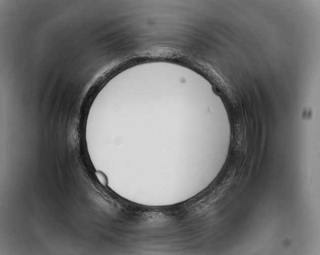 X0000099550392200806061521