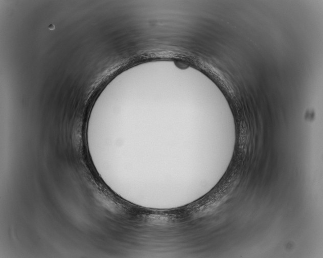 X0000099550394200806061521