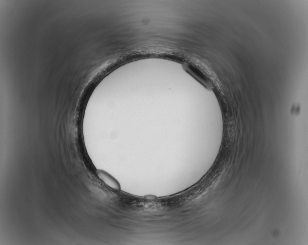 X0000099550395200806061521