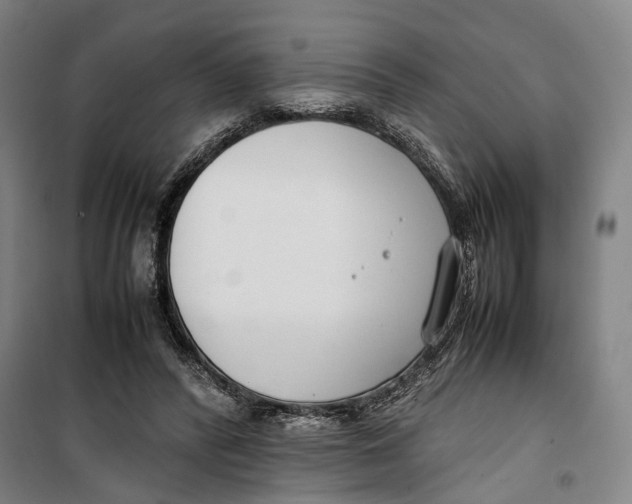 X0000099550400200806061521