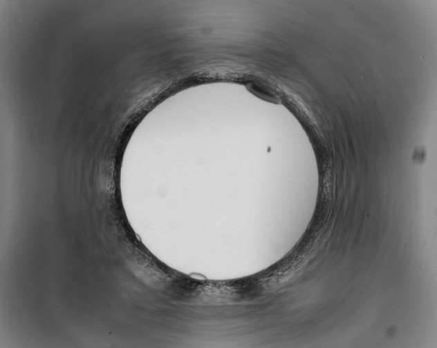 X0000099550403200806061521