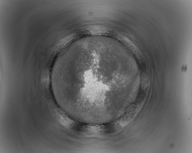 X0000099550405200806061521