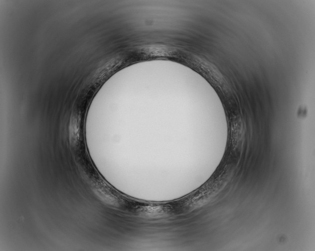 X0000099550406200806061521