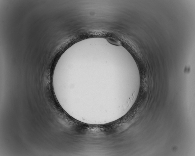 X0000099550407200806061521