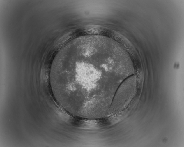 X0000099550409200806061521