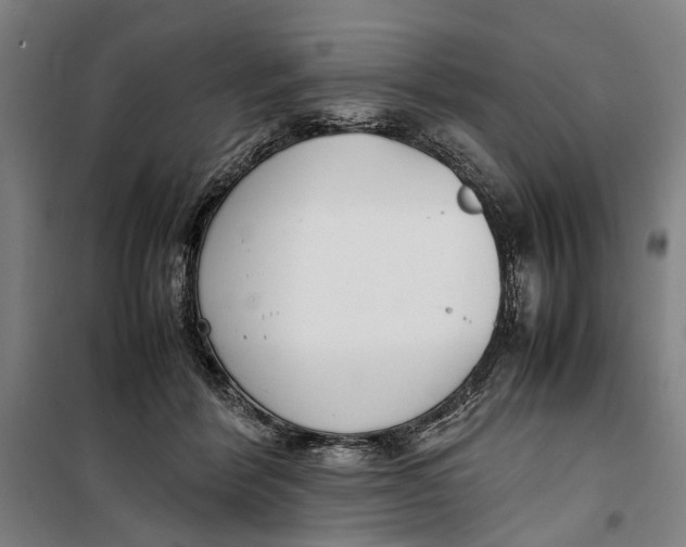 X0000099550412200806061521