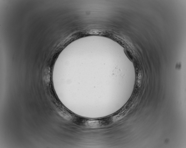 X0000099550413200806061521