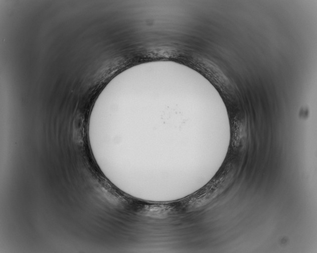 X0000099550414200806061521