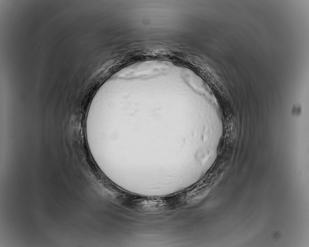 X0000099550415200806061521