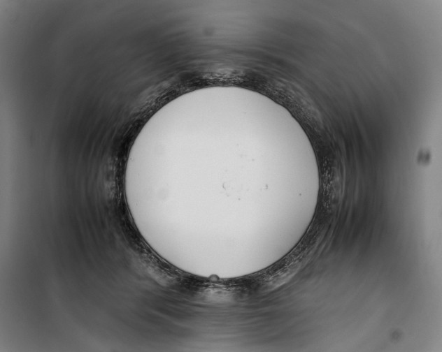 X0000099550416200806061521