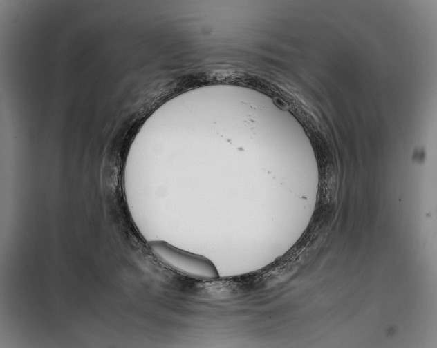 X0000099550417200806061521