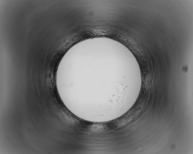 X0000099550418200806061521