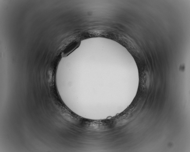 X0000099550420200806061521