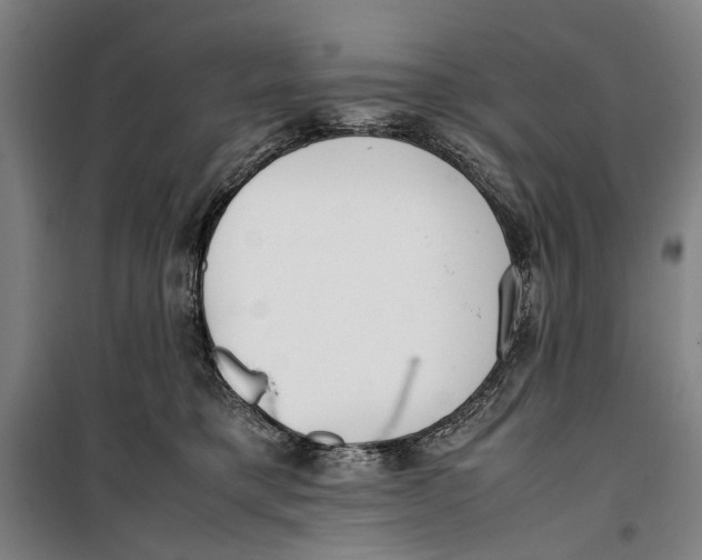 X0000099550421200806061521