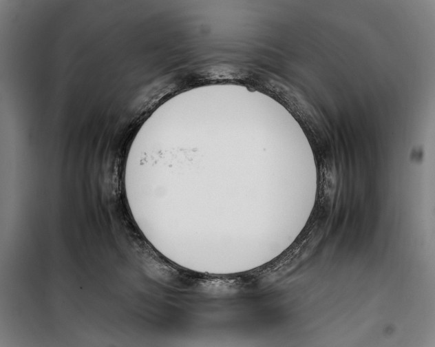 X0000099550422200806061521