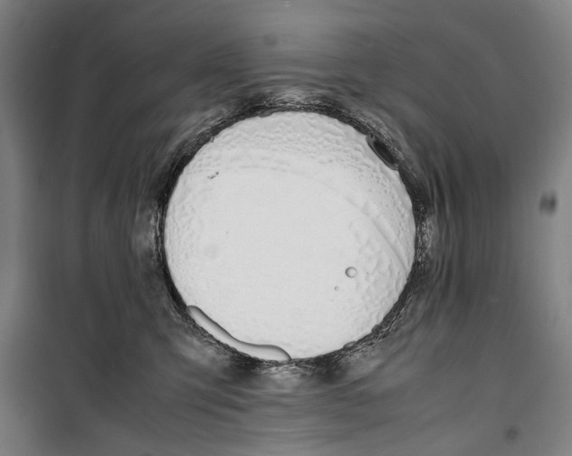 X0000099550423200806061521