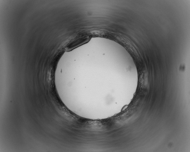 X0000099550424200806061521