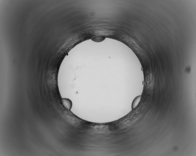 X0000099550426200806061521