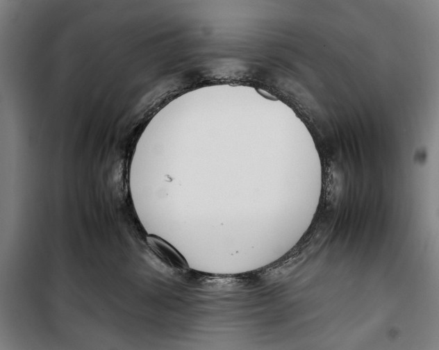 X0000099550428200806061521