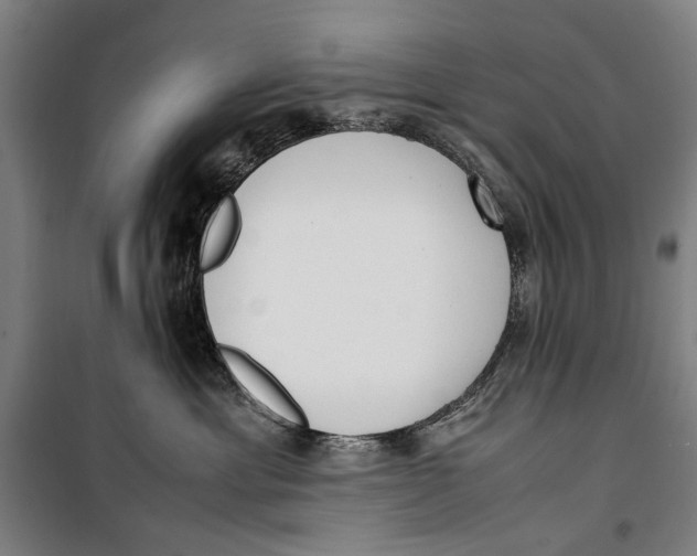 X0000099550429200806061521