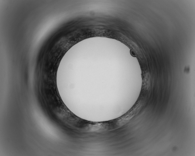 X0000099550430200806061521