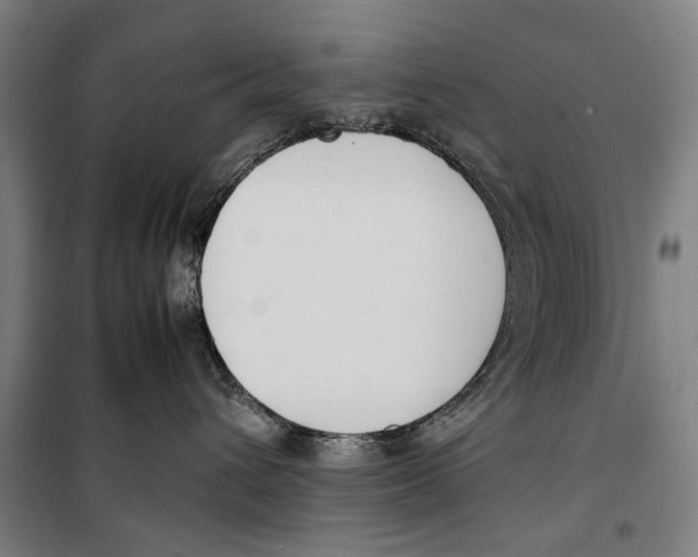 X0000099550432200806061521