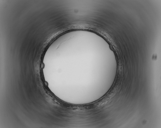 X0000099550434200806061520