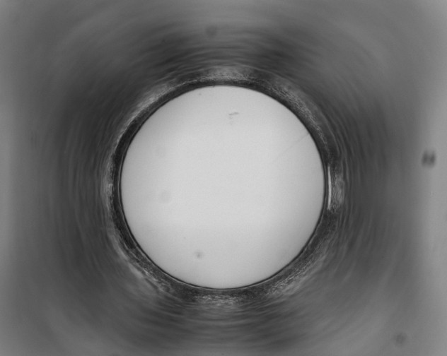 X0000099550435200806061520