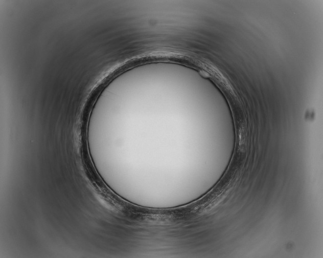 X0000099550436200806061520