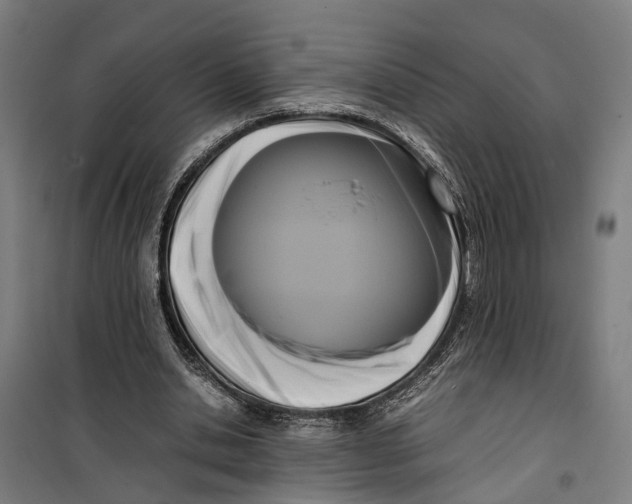 X0000099550438200806061520