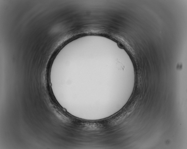 X0000099550439200806061520