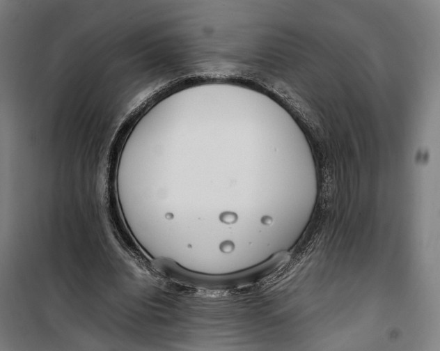 X0000099550440200806061520