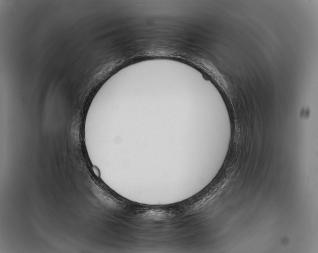 X0000099550441200806061520