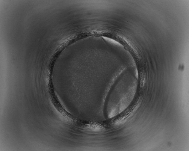 X0000099550451200806061520