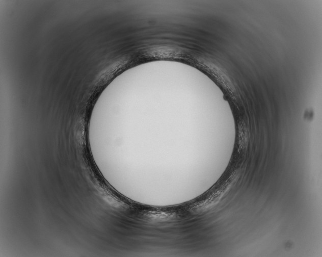 X0000099550453200806061520